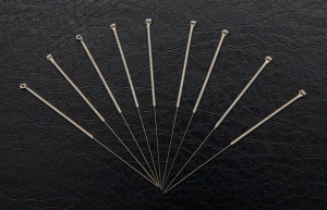 Acupuntuurnaalden